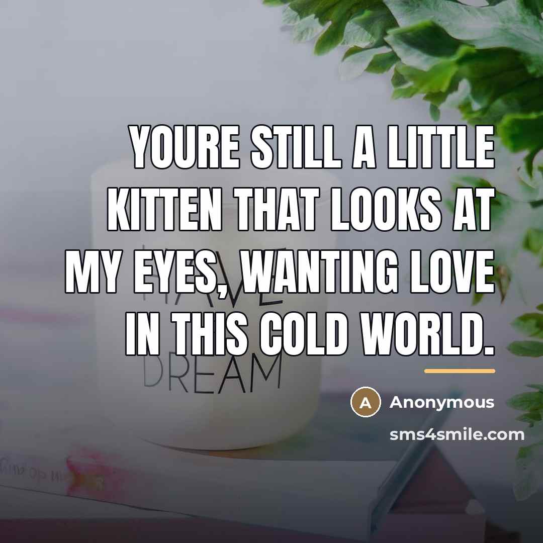 “Youre still a little kitten that looks at my eyes,…” quote by Anonymous