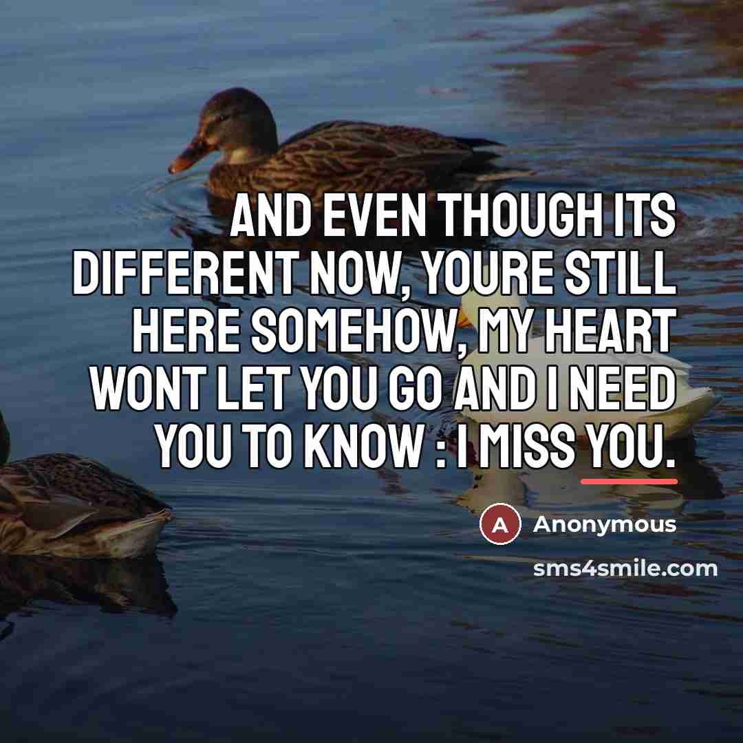 “And even though its different now, youre still here somehow,…” quote by Anonymous