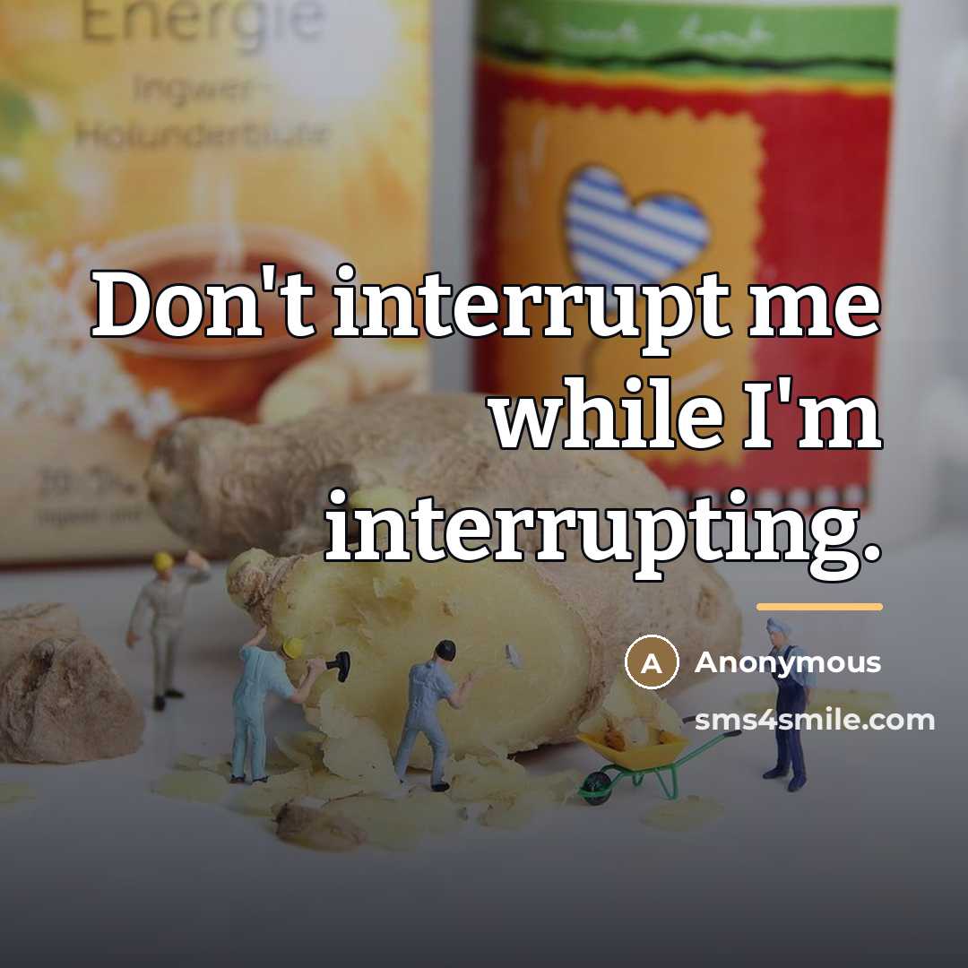 “Don't interrupt me while I'm interrupting.…” quote by Anonymous