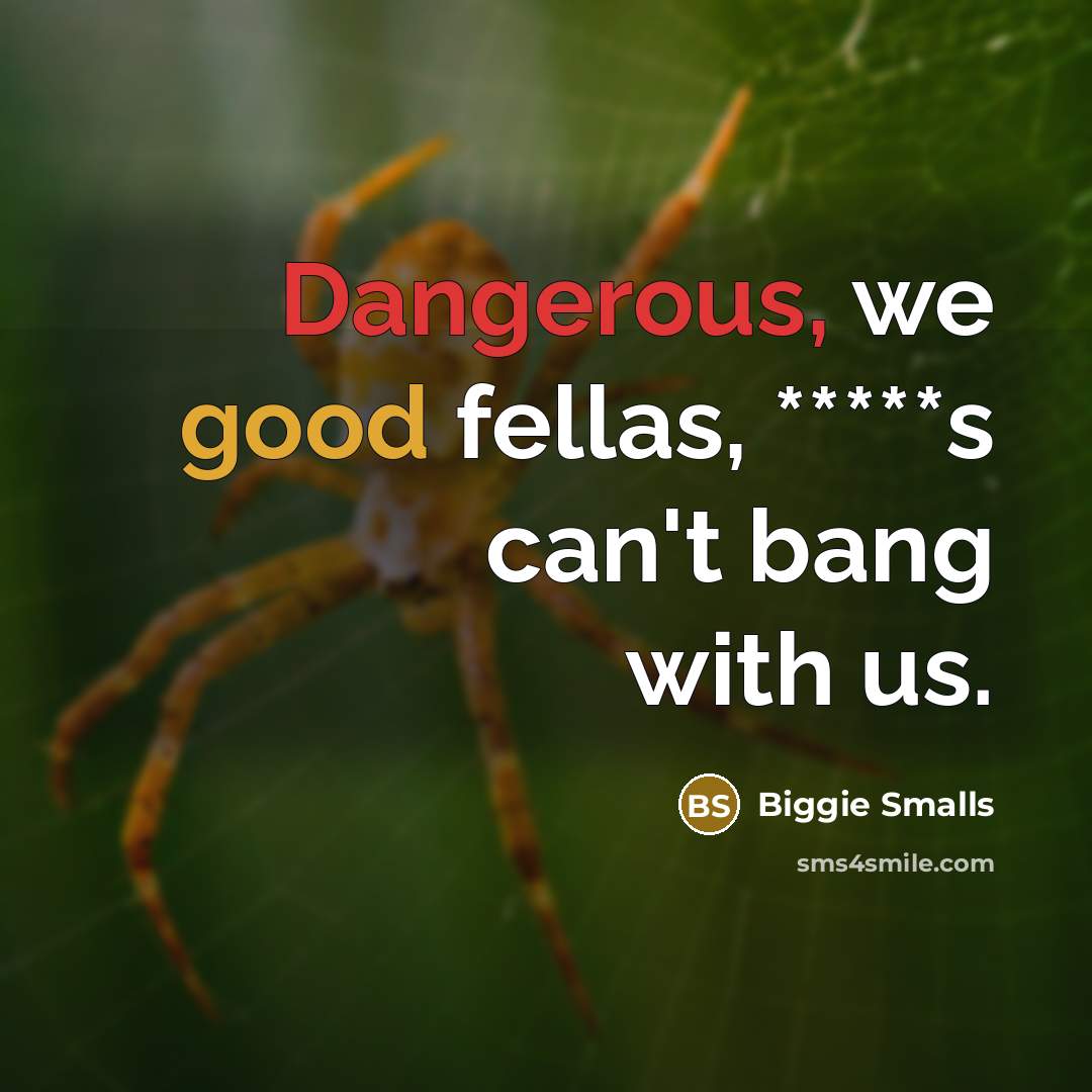“Dangerous, we good fellas, *****s can't bang with us.” quote by Biggie Smalls