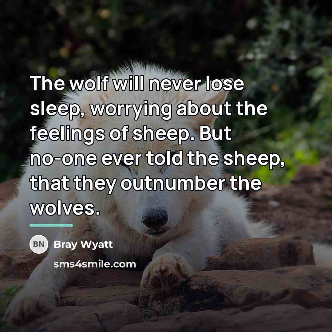 “The wolf will never lose sleep, worrying about the feelings…” quote by Bray Wyatt