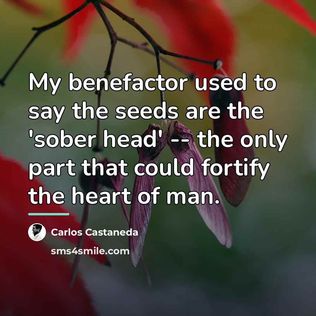“My benefactor used to say the seeds are the 'sober…” quote by Carlos Castaneda