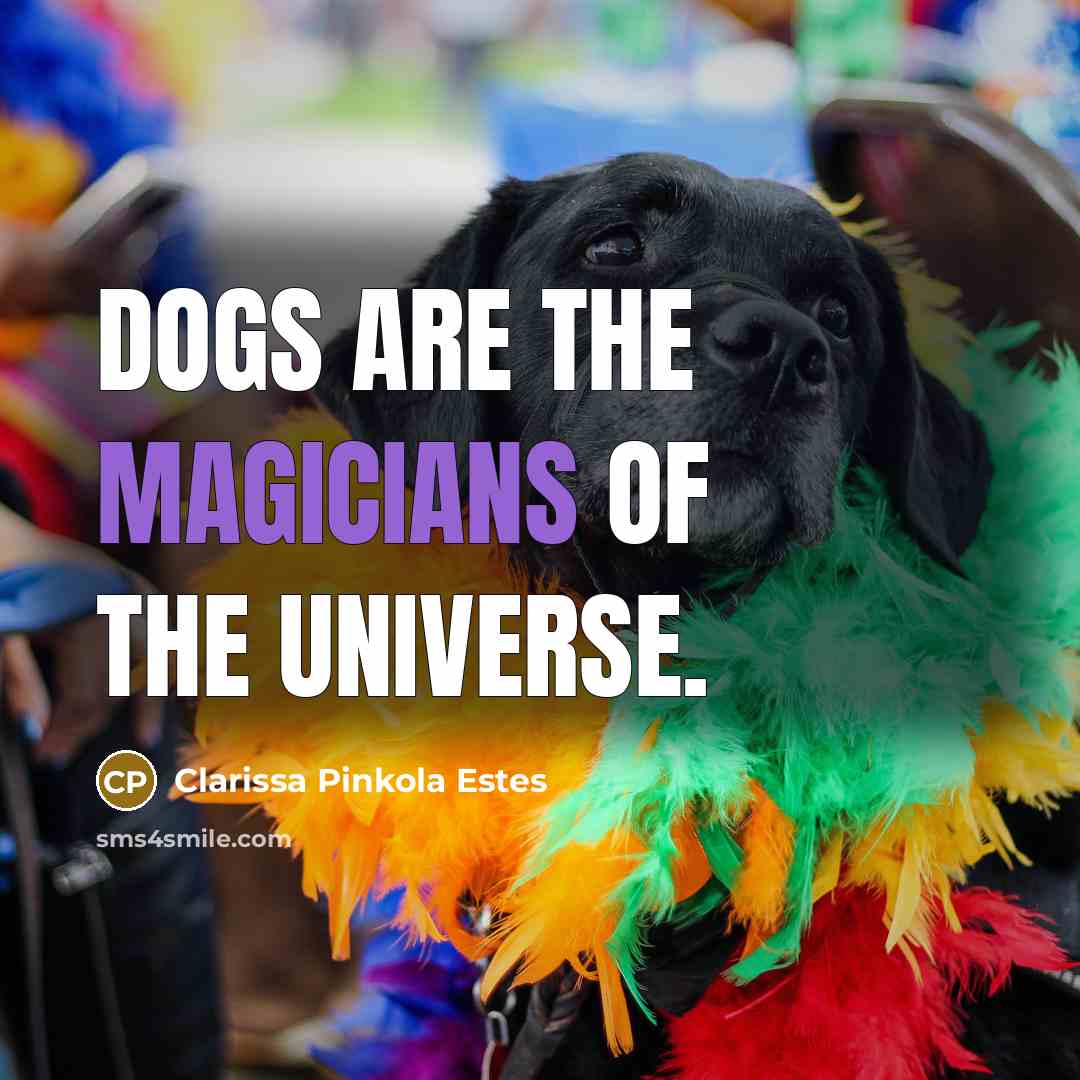 “Dogs are the magicians of the universe.” quote by Clarissa Pinkola Estes