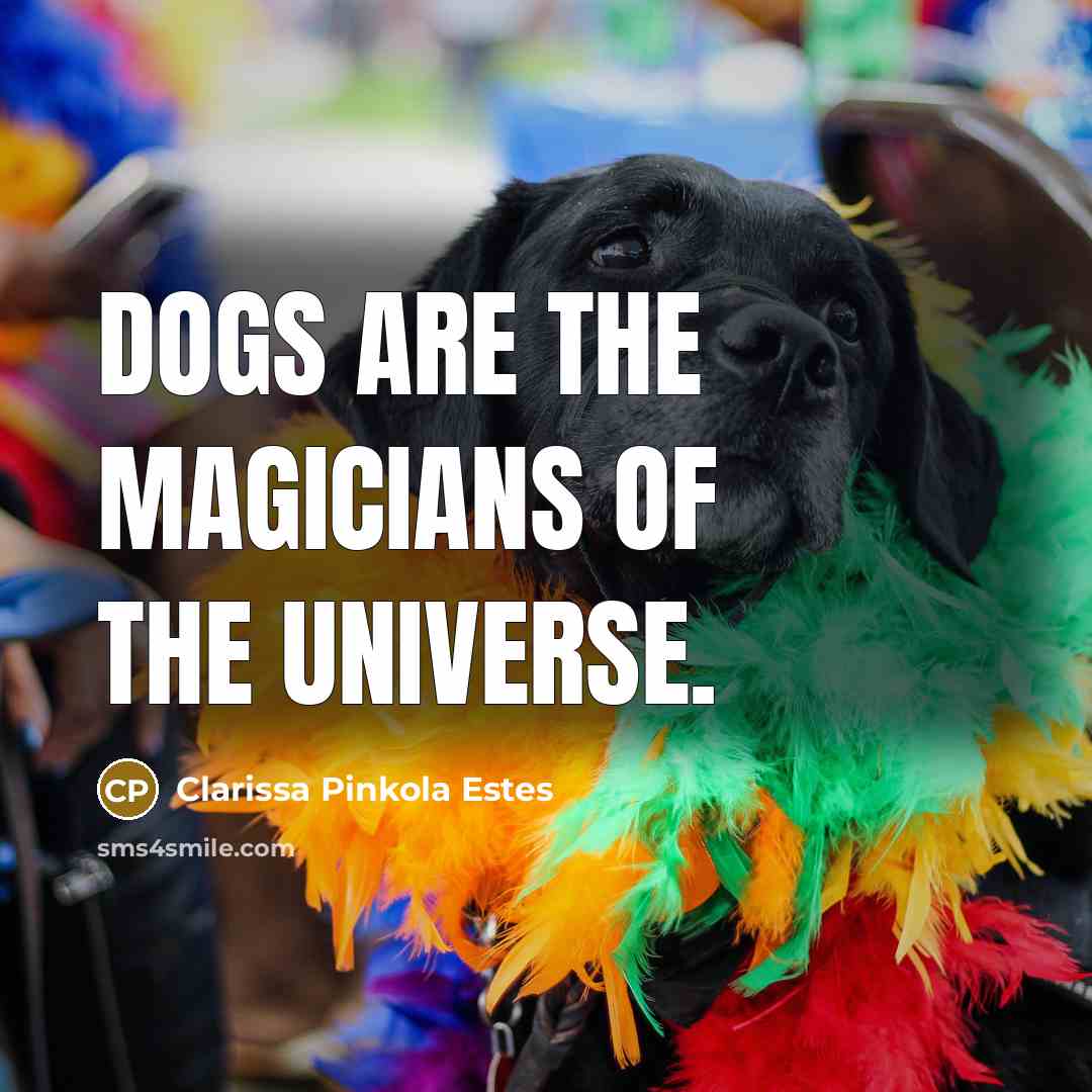 “Dogs are the magicians of the universe.…” quote by Clarissa Pinkola Estes