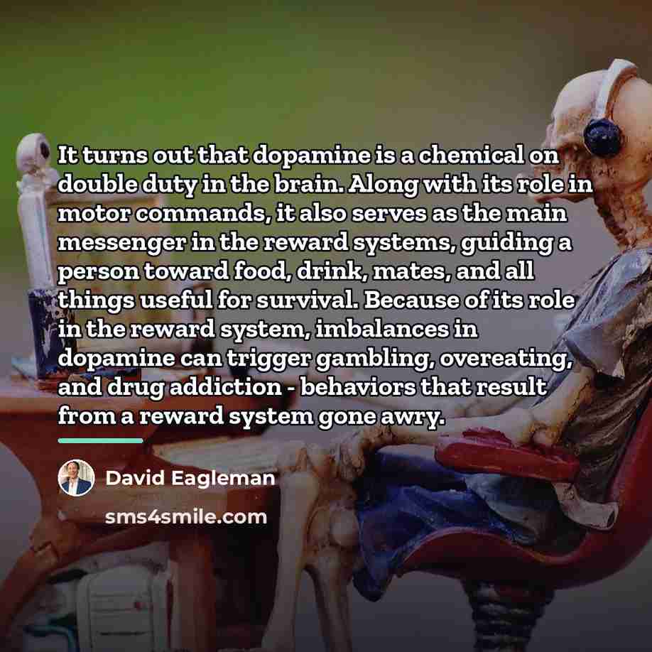 “It turns out that dopamine is a chemical on double…” quote by David Eagleman