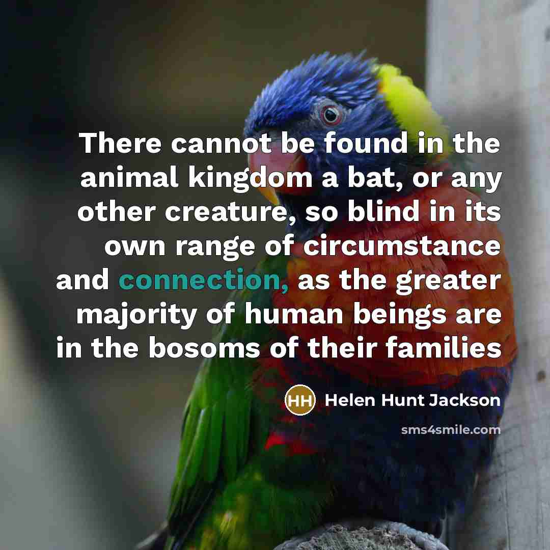 “There cannot be found in the animal kingdom a bat,…” quote by Helen Hunt Jackson