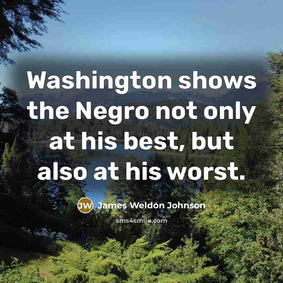 “Washington shows the Negro not only at his best, but…” quote by James Weldon Johnson