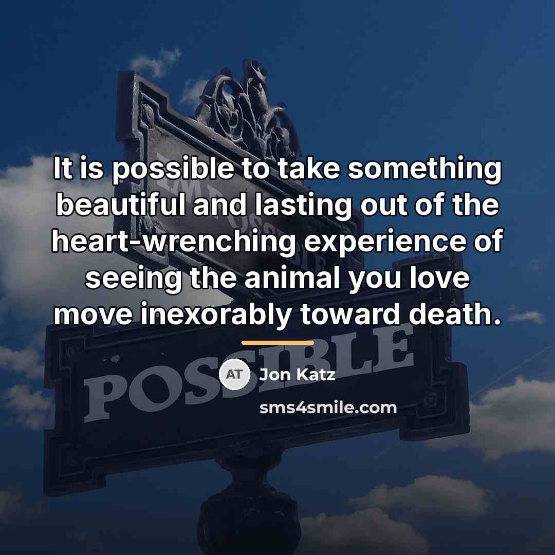 “It is possible to take something beautiful and lasting out…” quote by Jon Katz