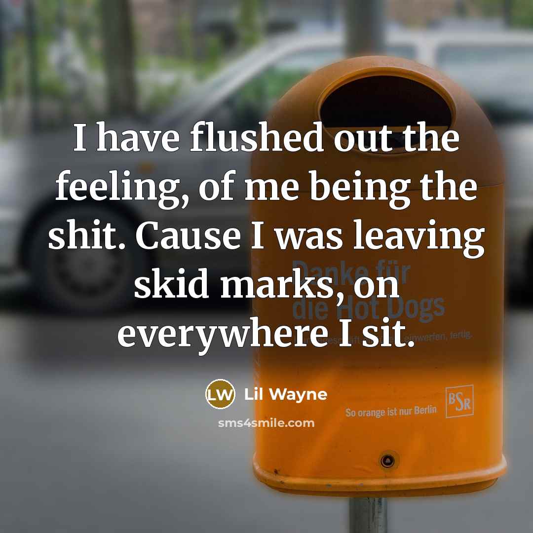 “I have flushed out the feeling, of me being the shit. Cause I was leaving skid marks, on everywhere I sit.” quote by Lil Wayne
