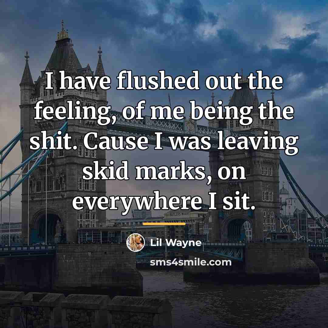 “I have flushed out the feeling, of me being the…” quote by Lil Wayne