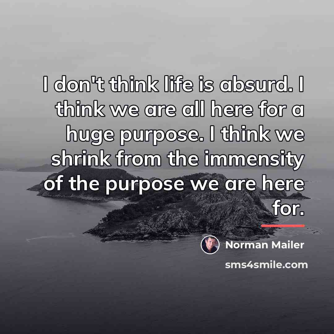 “I don't think life is absurd. I think we are…” quote by Norman Mailer