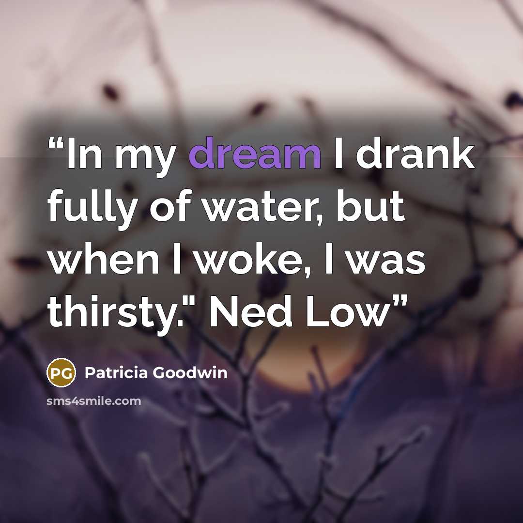 “In my dream I drank fully of water, but when I woke, I was thirsty." Ned Low” quote by Patricia Goodwin