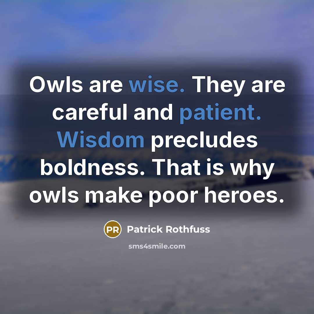 “Owls are wise. They are careful and patient. Wisdom precludes boldness. That is why owls make poor heroes.” quote by Patrick Rothfuss