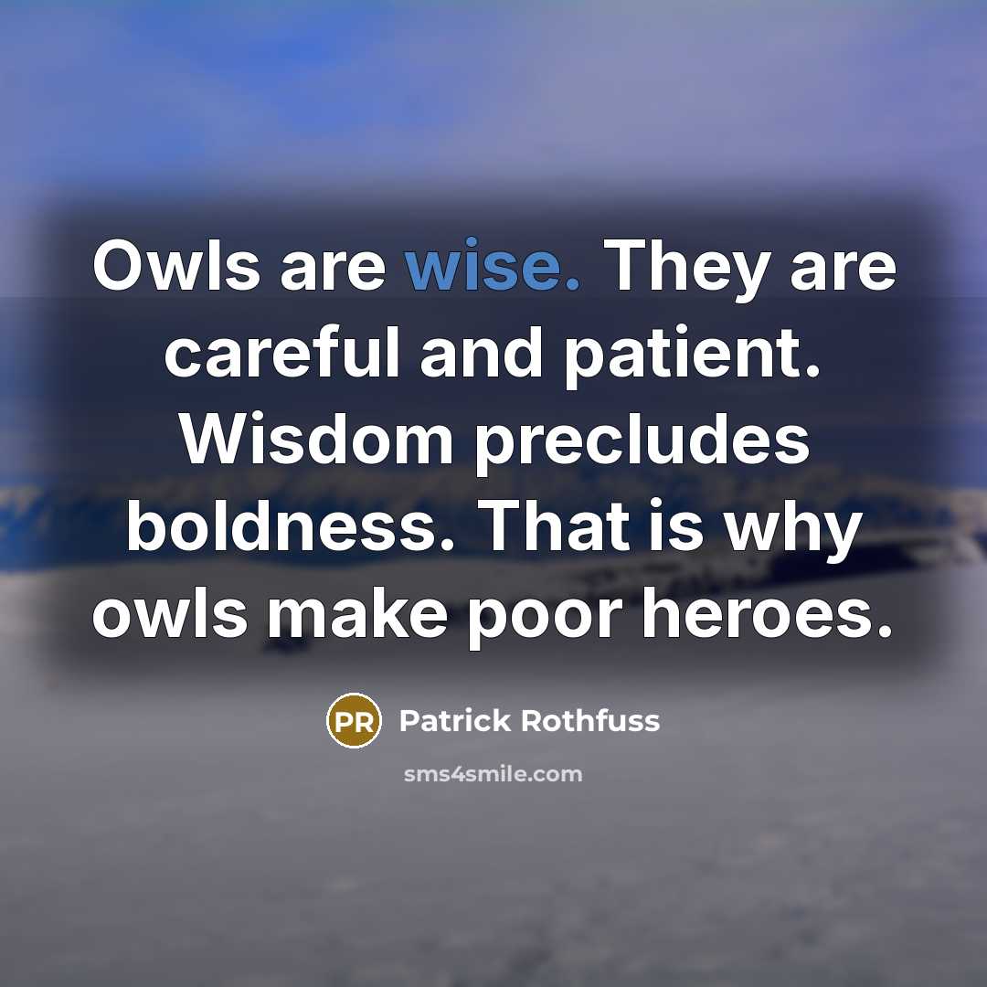 “Owls are wise. They are careful and patient. Wisdom precludes…” quote by Patrick Rothfuss