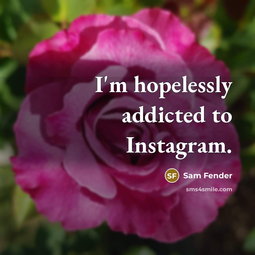 “I'm hopelessly addicted to Instagram.…” quote by Sam Fender