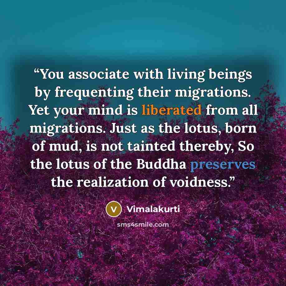 “You associate with living beings by frequenting their migrations. Yet your mind is liberated from all migrations. Just as the lotus, born of mud, is not tainted thereby, So the lotus of the Buddha preserves the realization of voidness.” quote by Vimalakurti