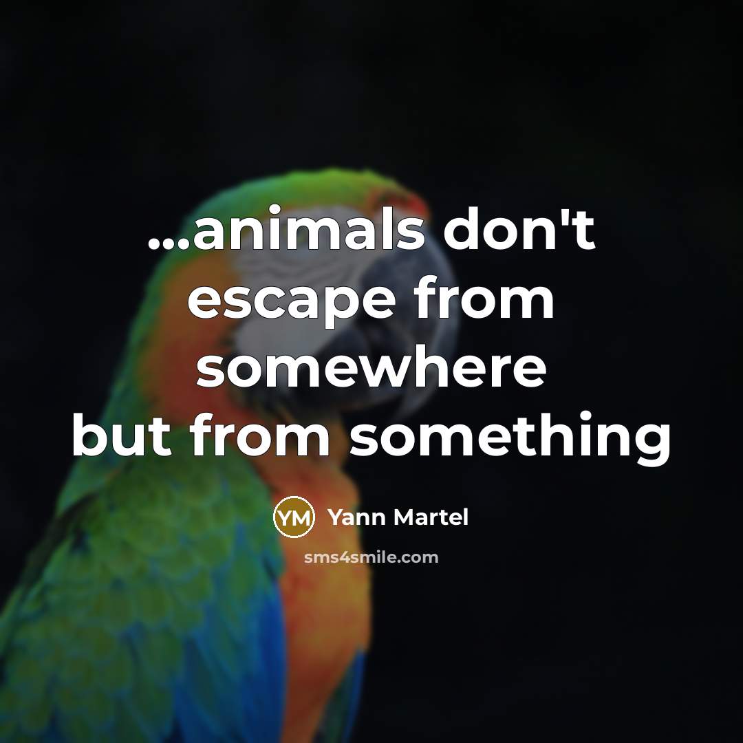 “...animals don't escape from somewhere but from something…” quote by Yann Martel
