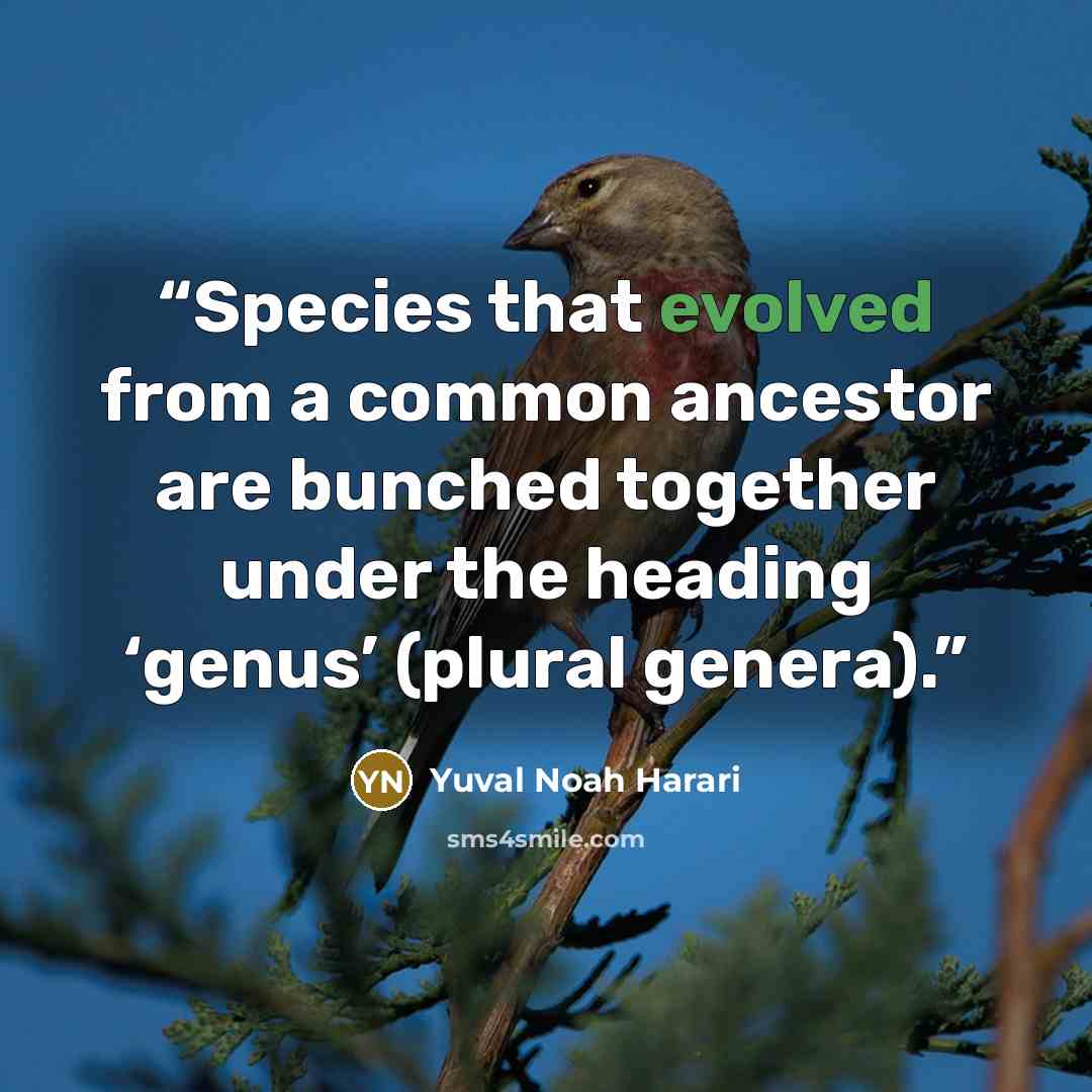 “Species that evolved from a common ancestor are bunched together under the heading ‘genus’ (plural genera).” quote by Yuval Noah Harari