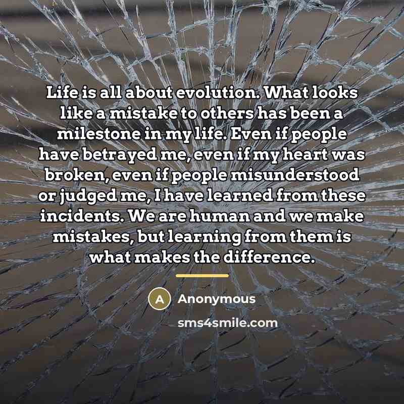 “Life is all about evolution. What looks like a mistake…” quote by Anonymous