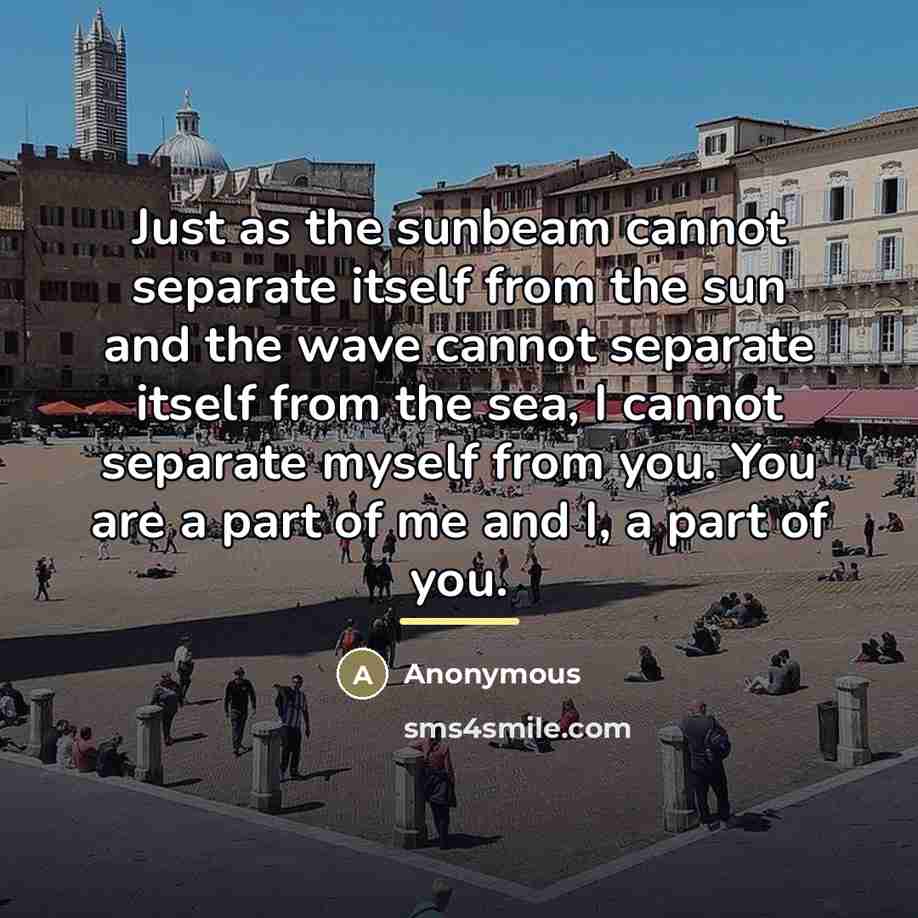 “Just as the sunbeam cannot separate itself from the sun…” quote by Anonymous