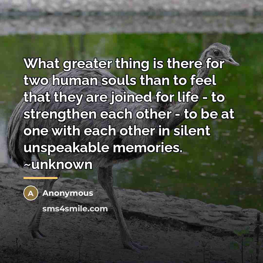 “What greater thing is there for two human souls than…” quote by Anonymous