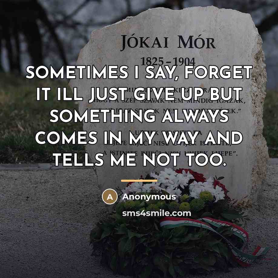 “SOMETIMES I SAY, FORGET IT ILL JUST GIVE UP BUT…” quote by Anonymous