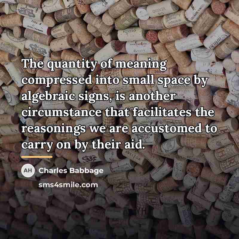 “The quantity of meaning compressed into small space by algebraic…” quote by Charles Babbage