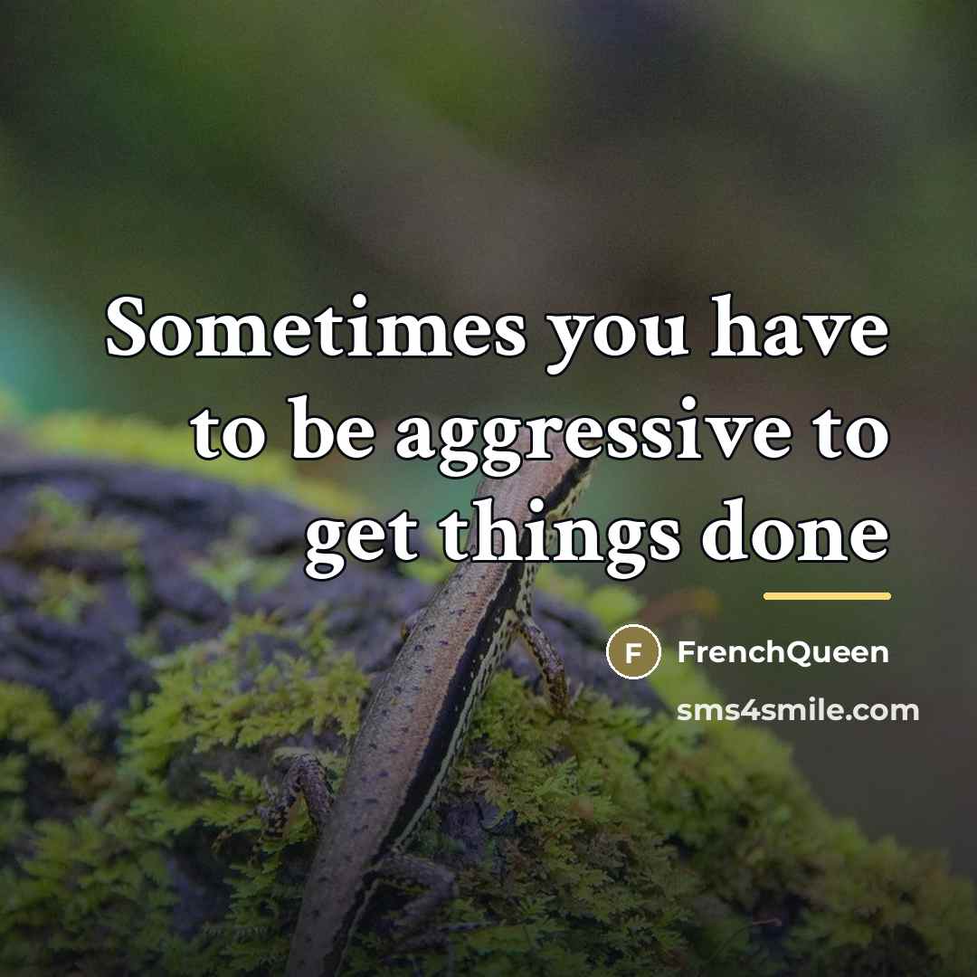 “Sometimes you have to be aggressive to get things done…” quote by Frenchqueen
