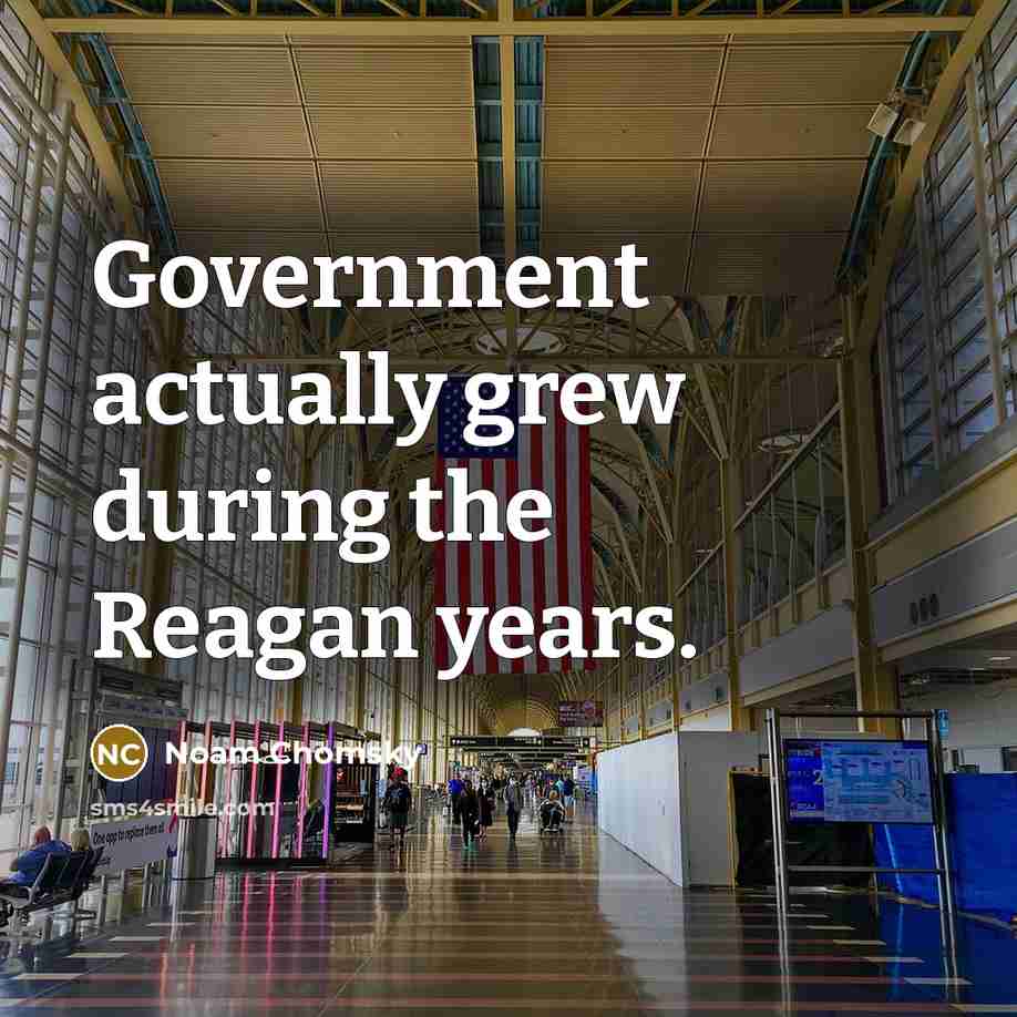 “Government actually grew during the Reagan years.…” quote by Noam Chomsky