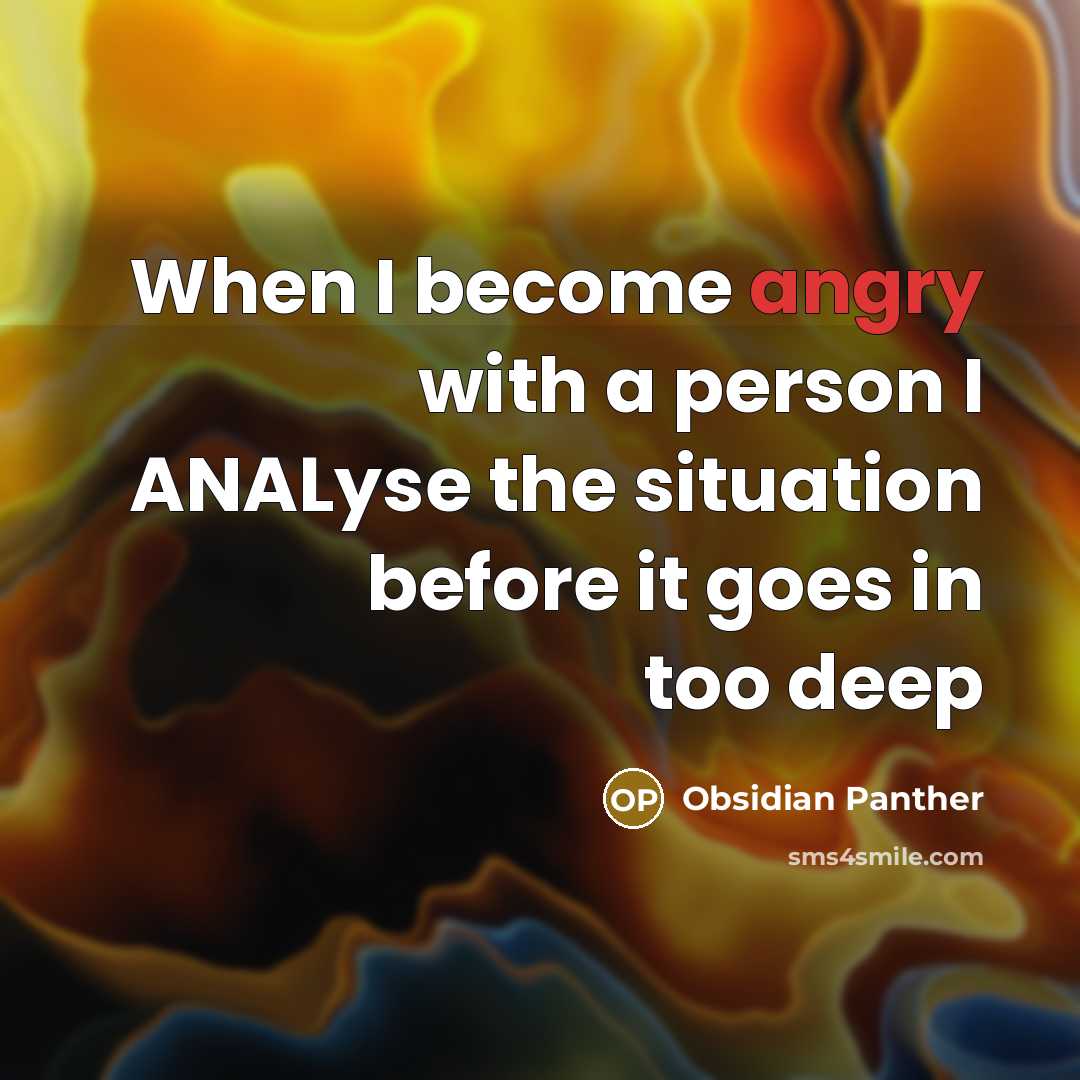 “When I become angry with a person I ANALyse the…” quote by Obsidian Panther