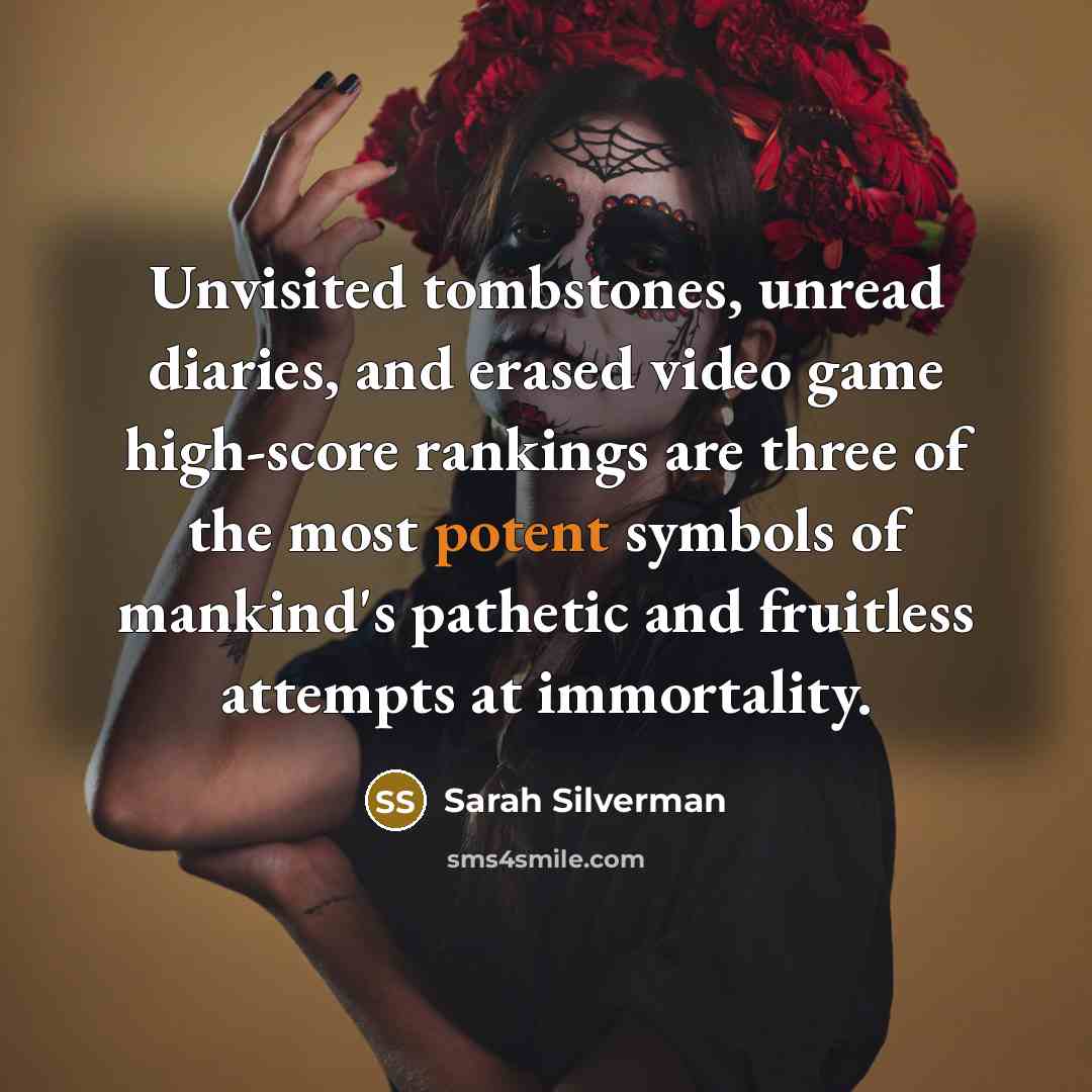 “Unvisited tombstones, unread diaries, and erased video game high-score rankings…” quote by Sarah Silverman