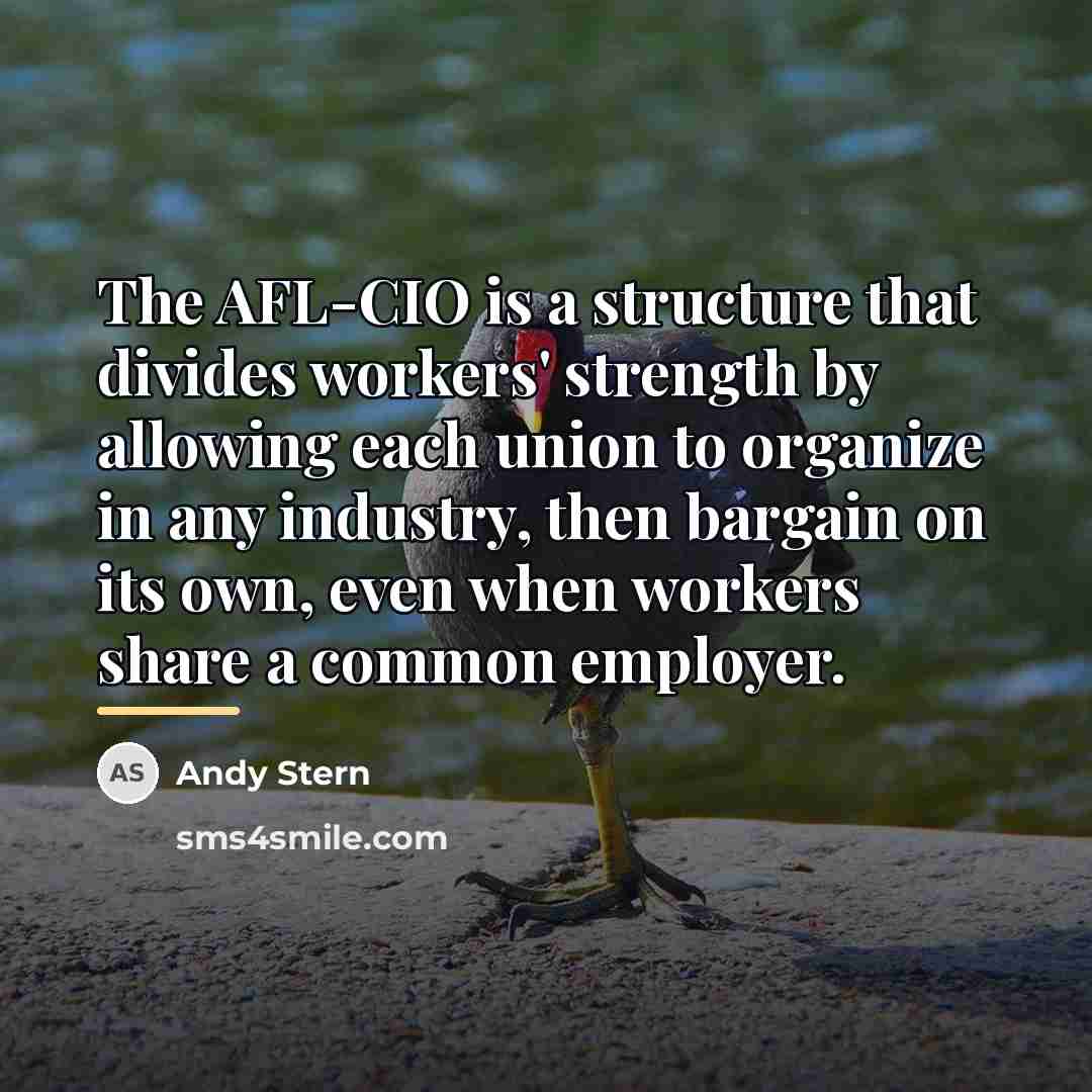 “The AFL-CIO is a structure that divides workers' strength by…” quote by Andy Stern