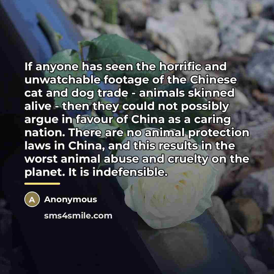 “If anyone has seen the horrific and unwatchable footage of…” quote by Anonymous