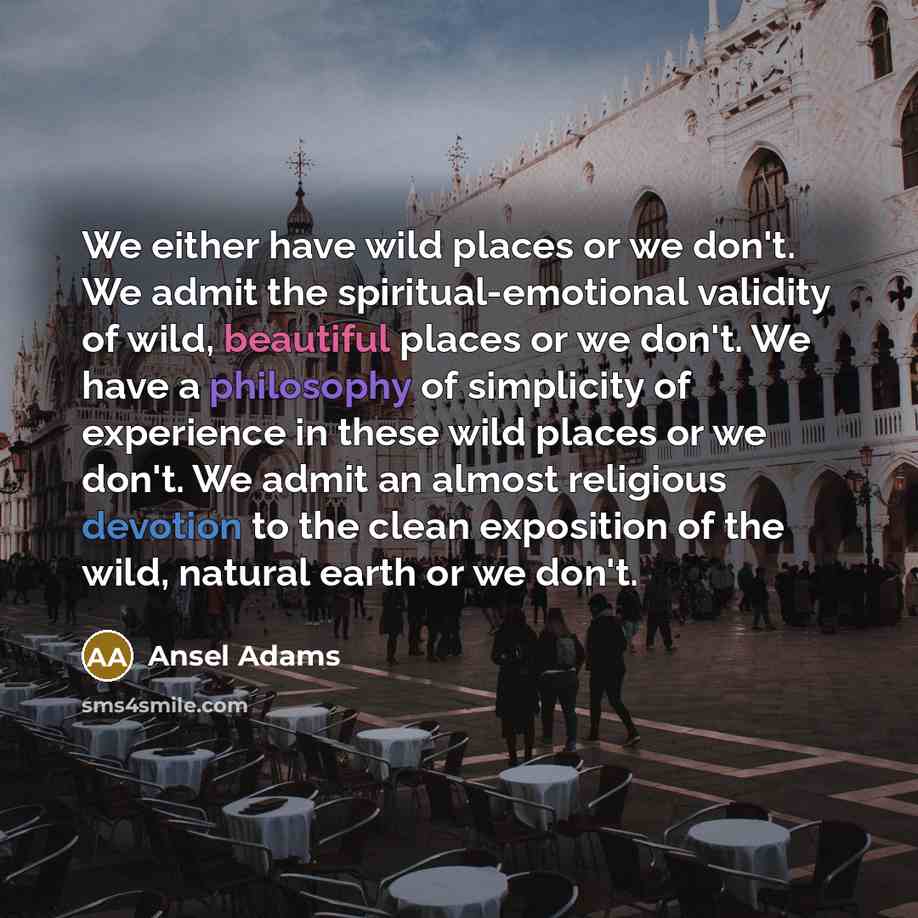 “We either have wild places or we don't. We admit…” quote by Ansel Adams