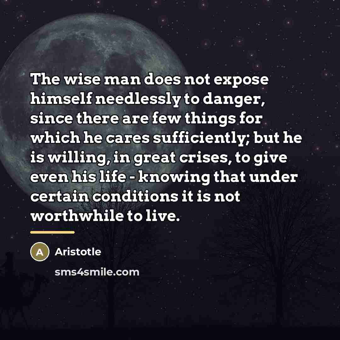 “The wise man does not expose himself needlessly to danger,…” quote by Aristotle