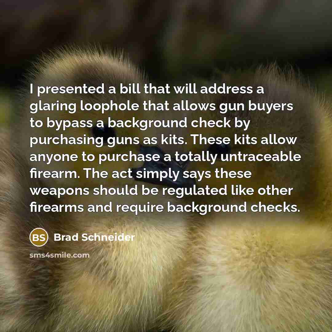 “I presented a bill that will address a glaring loophole…” quote by Brad Schneider