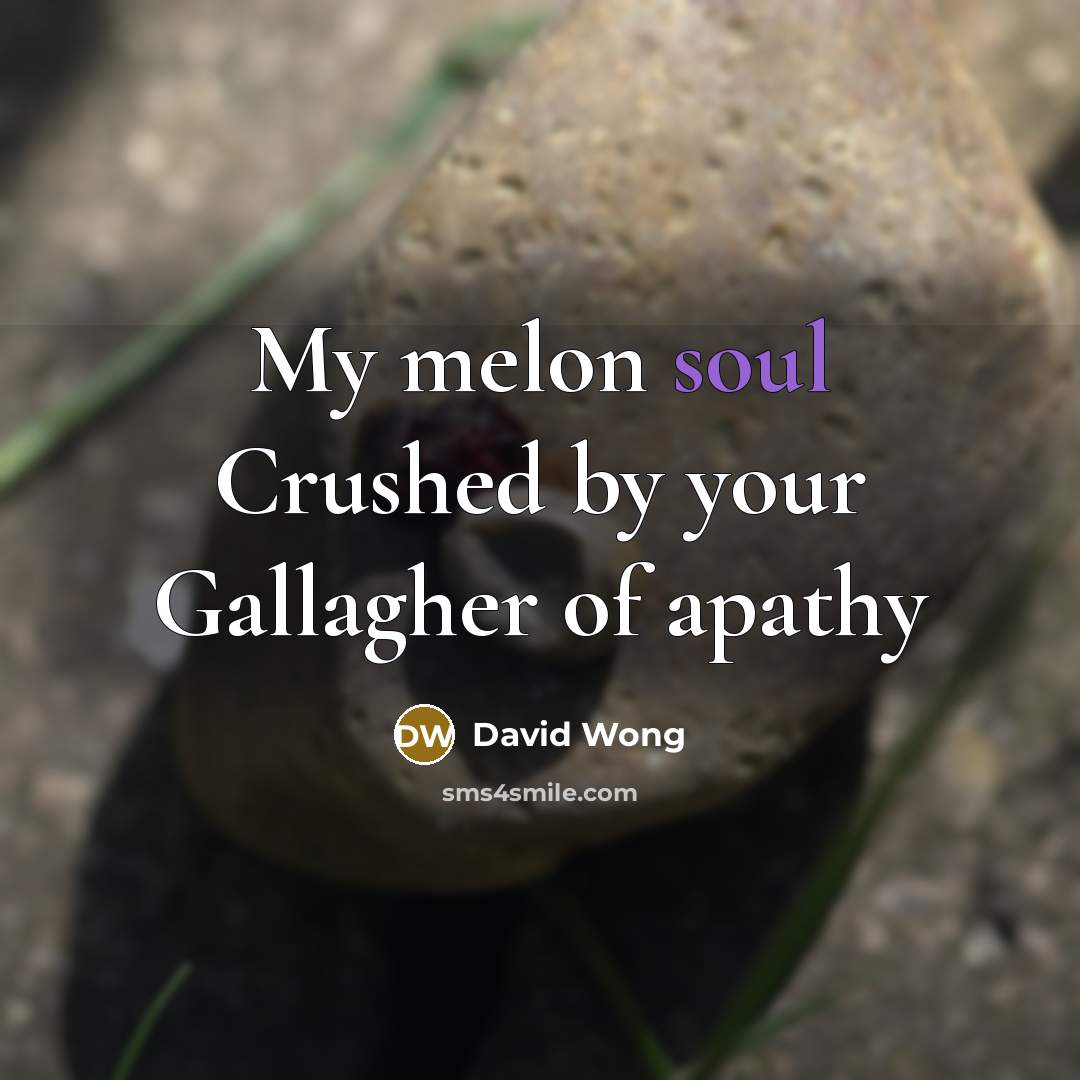 “My melon soul Crushed by your Gallagher of apathy…” quote by David Wong