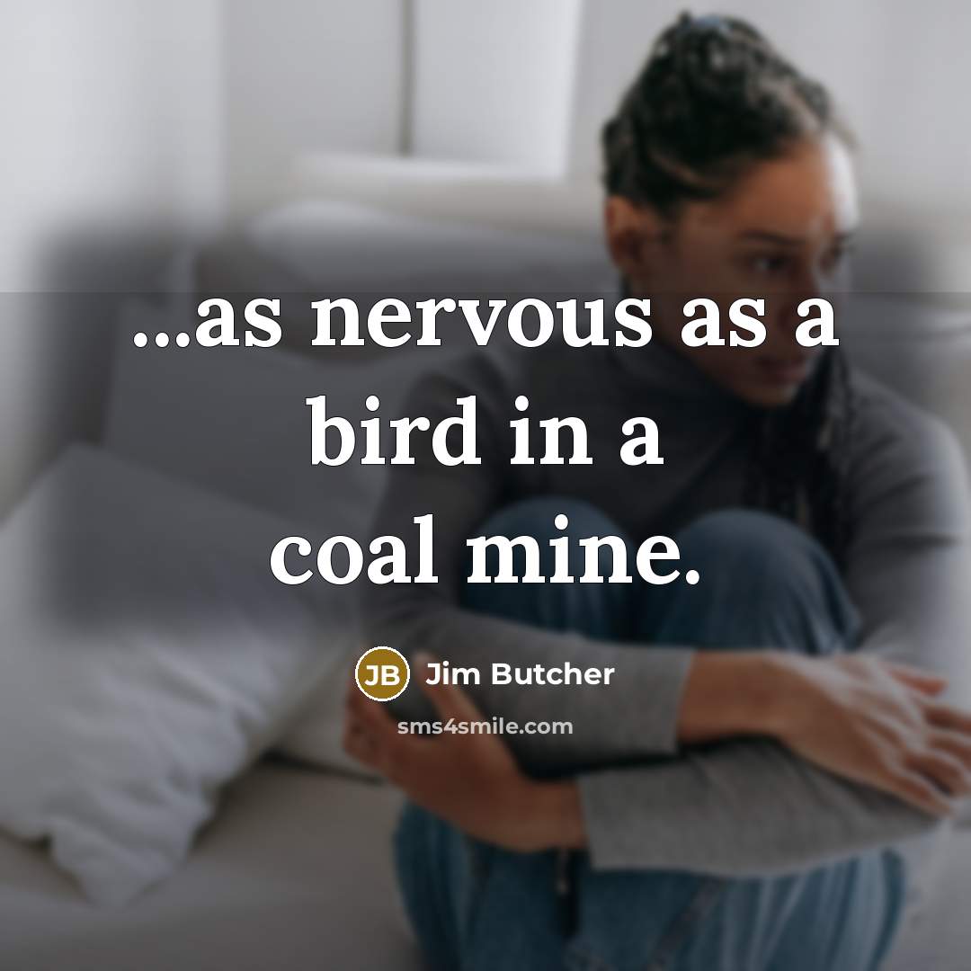 “...as nervous as a bird in a coal mine.…” quote by Jim Butcher