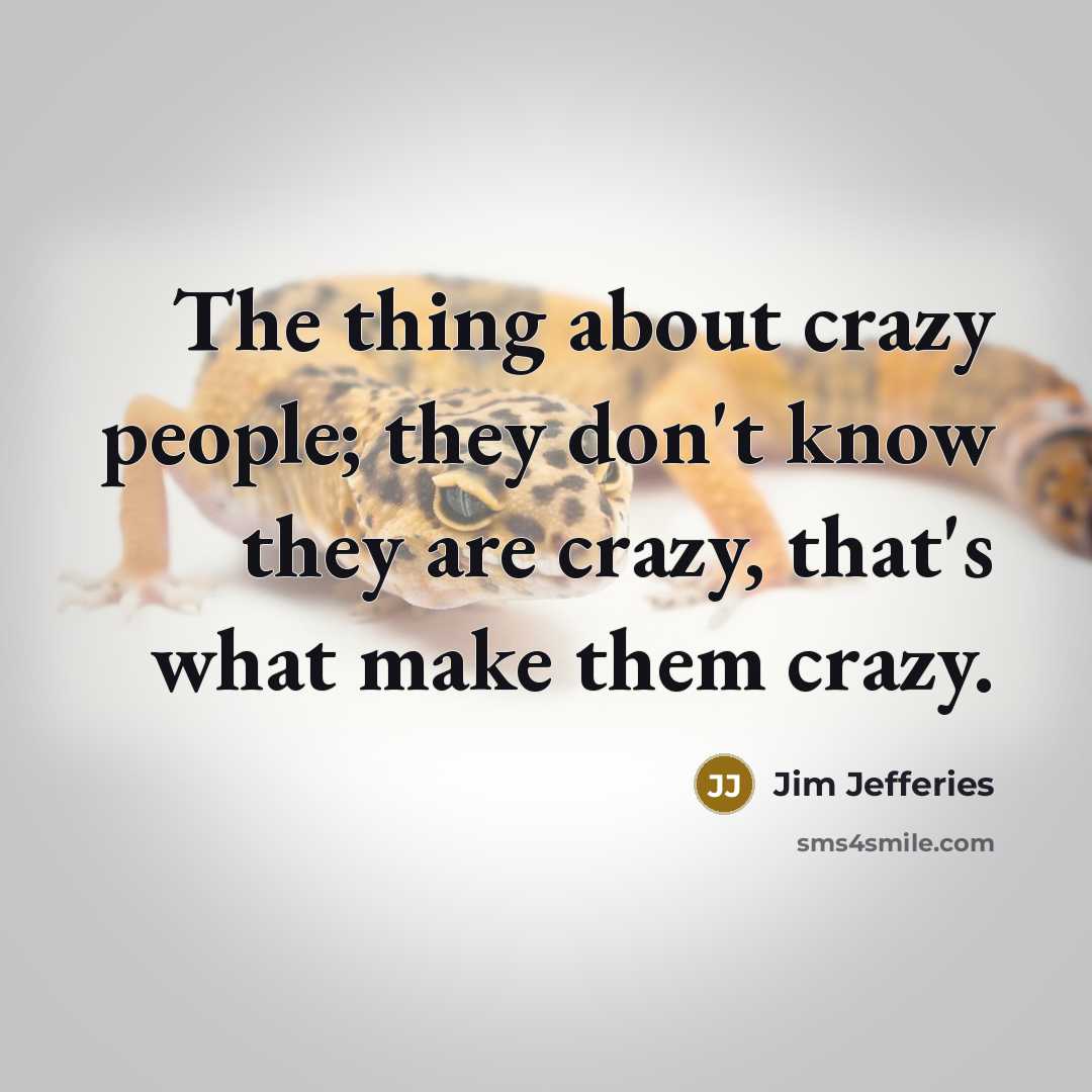 “The thing about crazy people; they don't know they are…” quote by Jim Jefferies