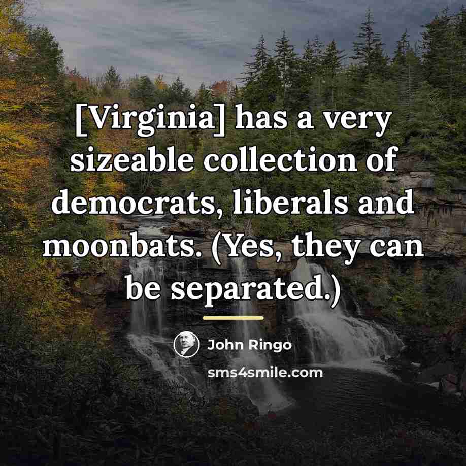 “[Virginia] has a very sizeable collection of democrats, liberals and…” quote by John Ringo