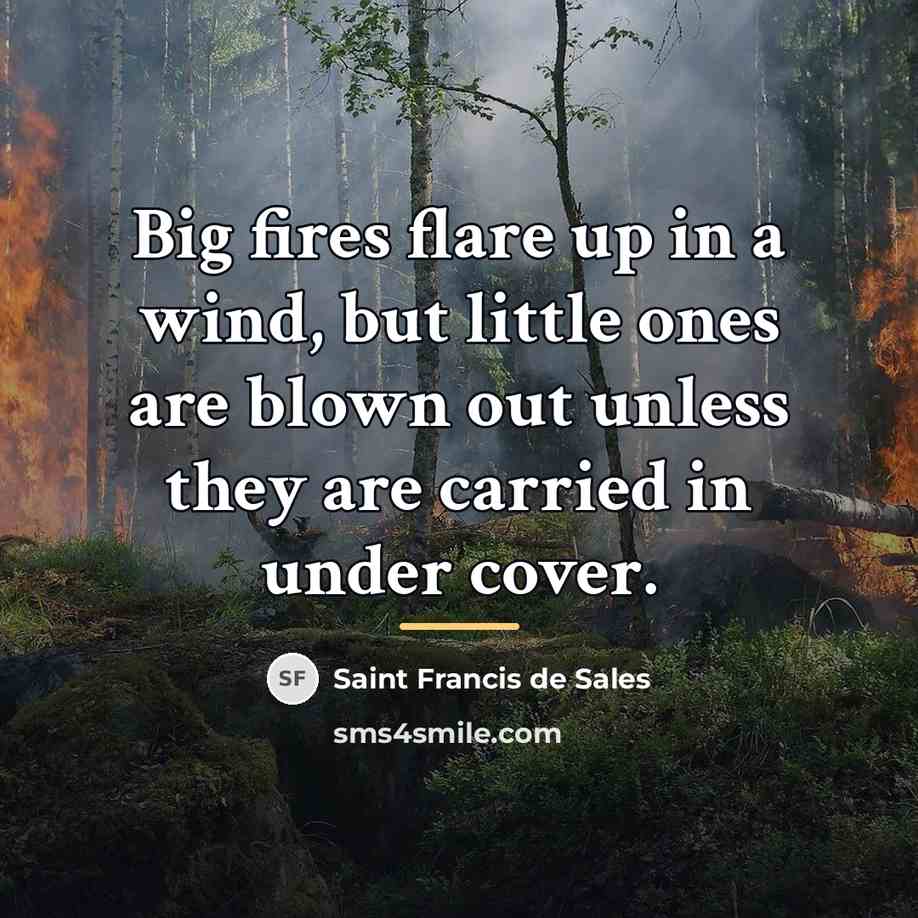 “Big fires flare up in a wind, but little ones…” quote by Saint Francis de Sales
