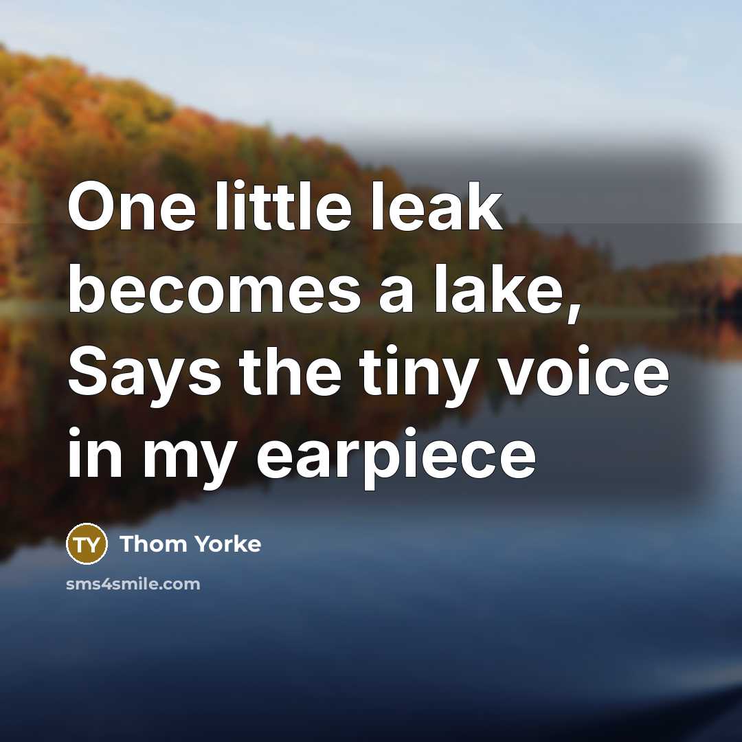 “One little leak becomes a lake, Says the tiny voice…” quote by Thom Yorke