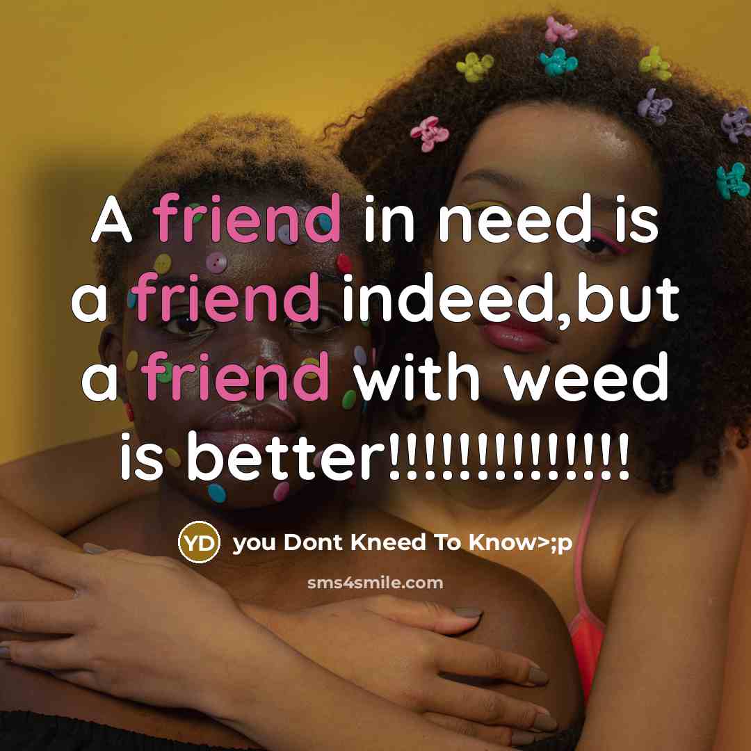 “A friend in need is a friend indeed,but a friend with weed is better!!!!!!!!!!!!!!” quote by you Dont Kneed To Know>;p