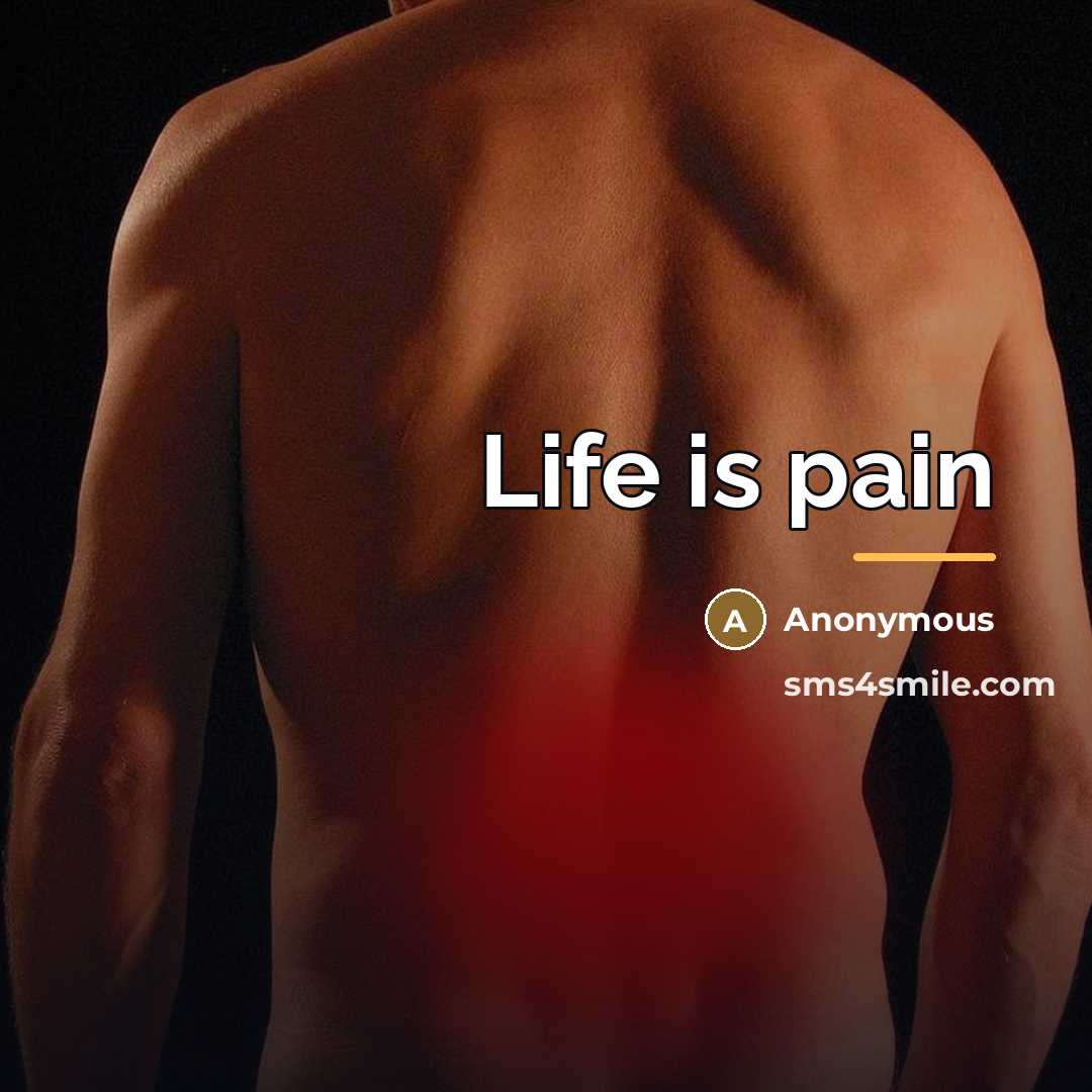 “Life is pain…” quote by Anonymous