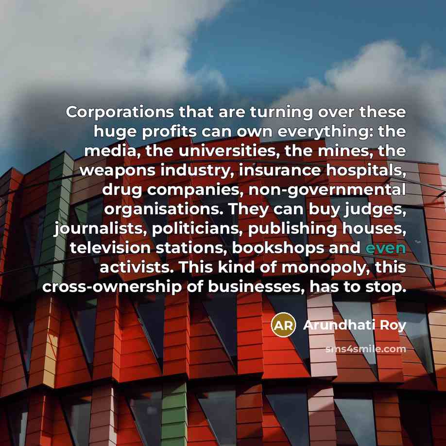 “Corporations that are turning over these huge profits can own…” quote by Arundhati Roy
