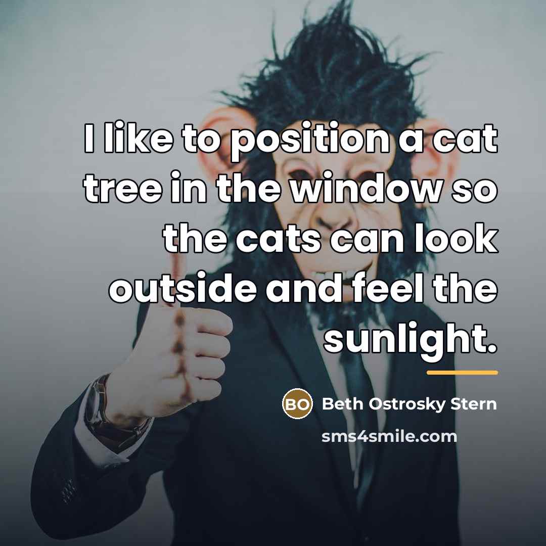 “I like to position a cat tree in the window…” quote by Beth Ostrosky Stern