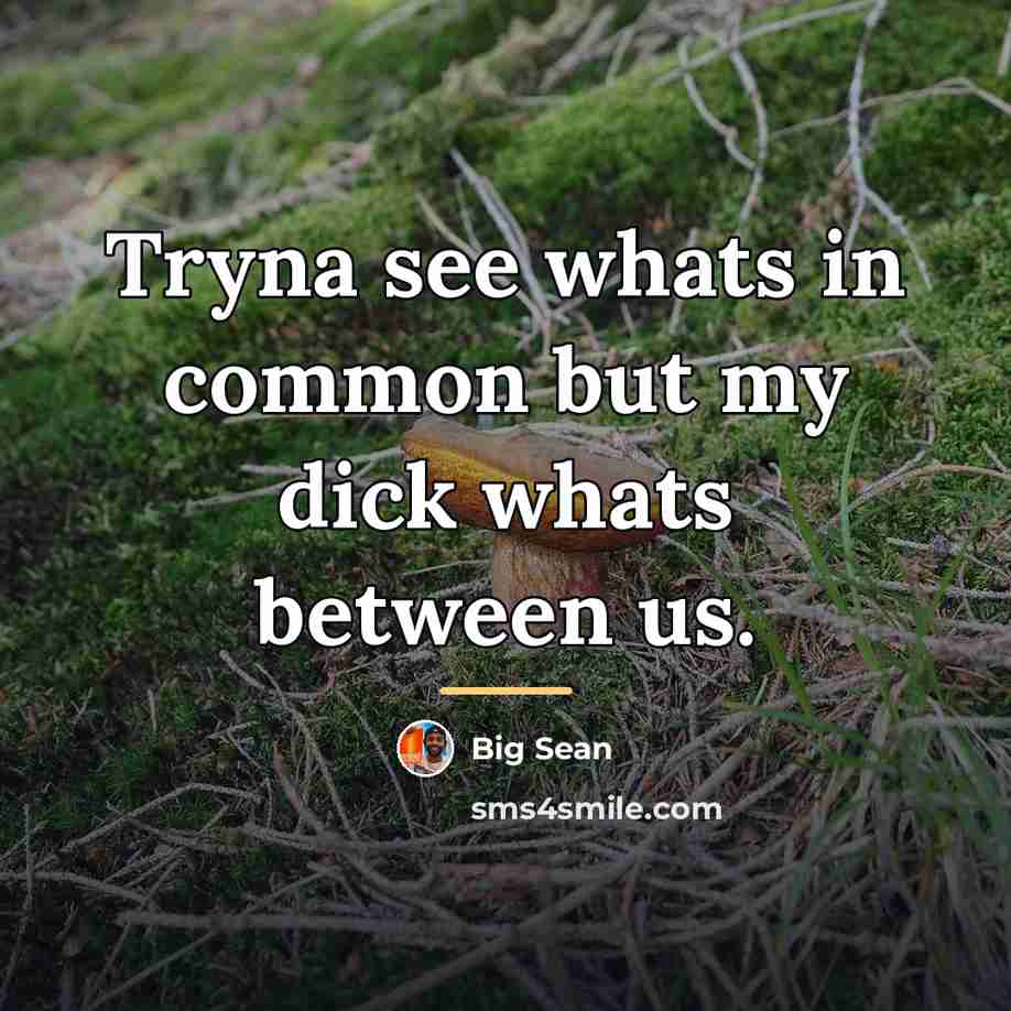 “Tryna see whats in common but my dick whats between…” quote by Big Sean