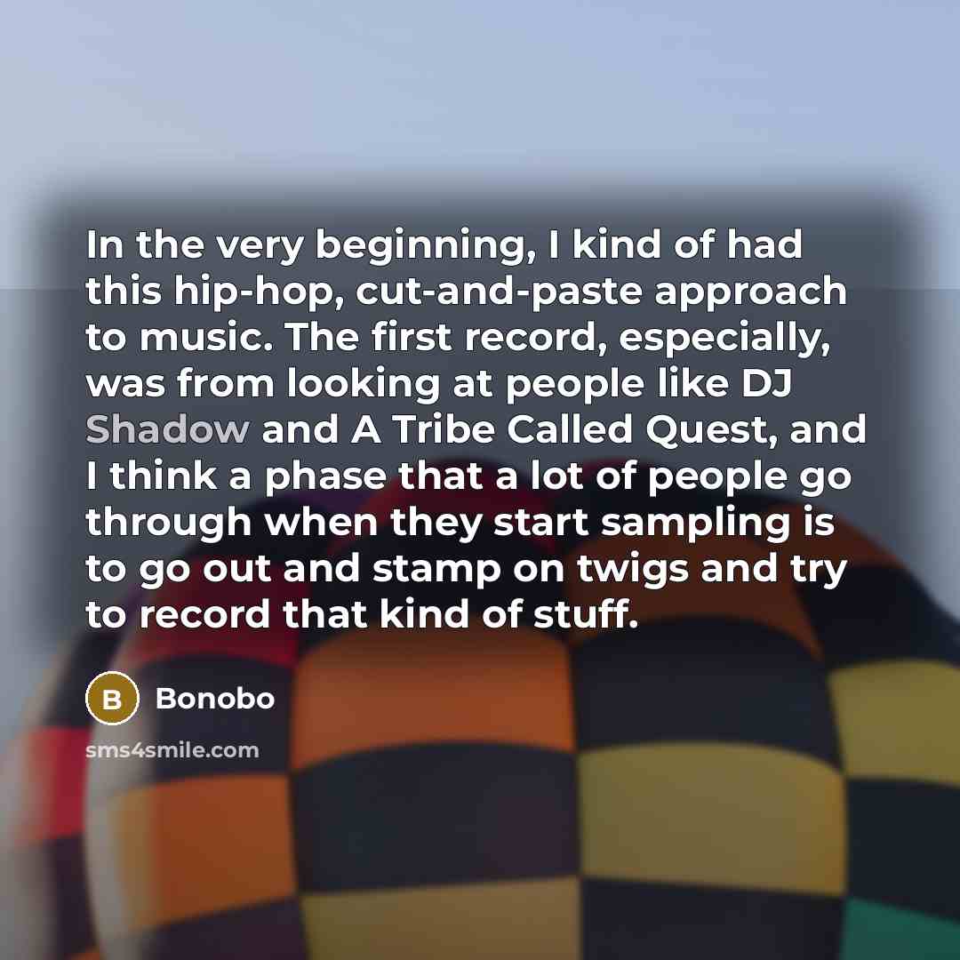 “In the very beginning, I kind of had this hip-hop,…” quote by Bonobo
