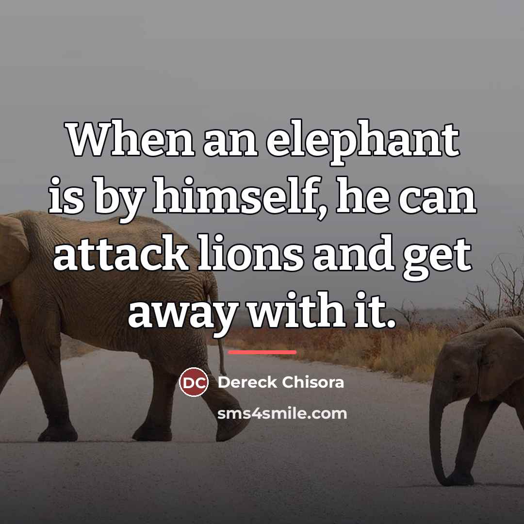 “When an elephant is by himself, he can attack lions…” quote by Dereck Chisora