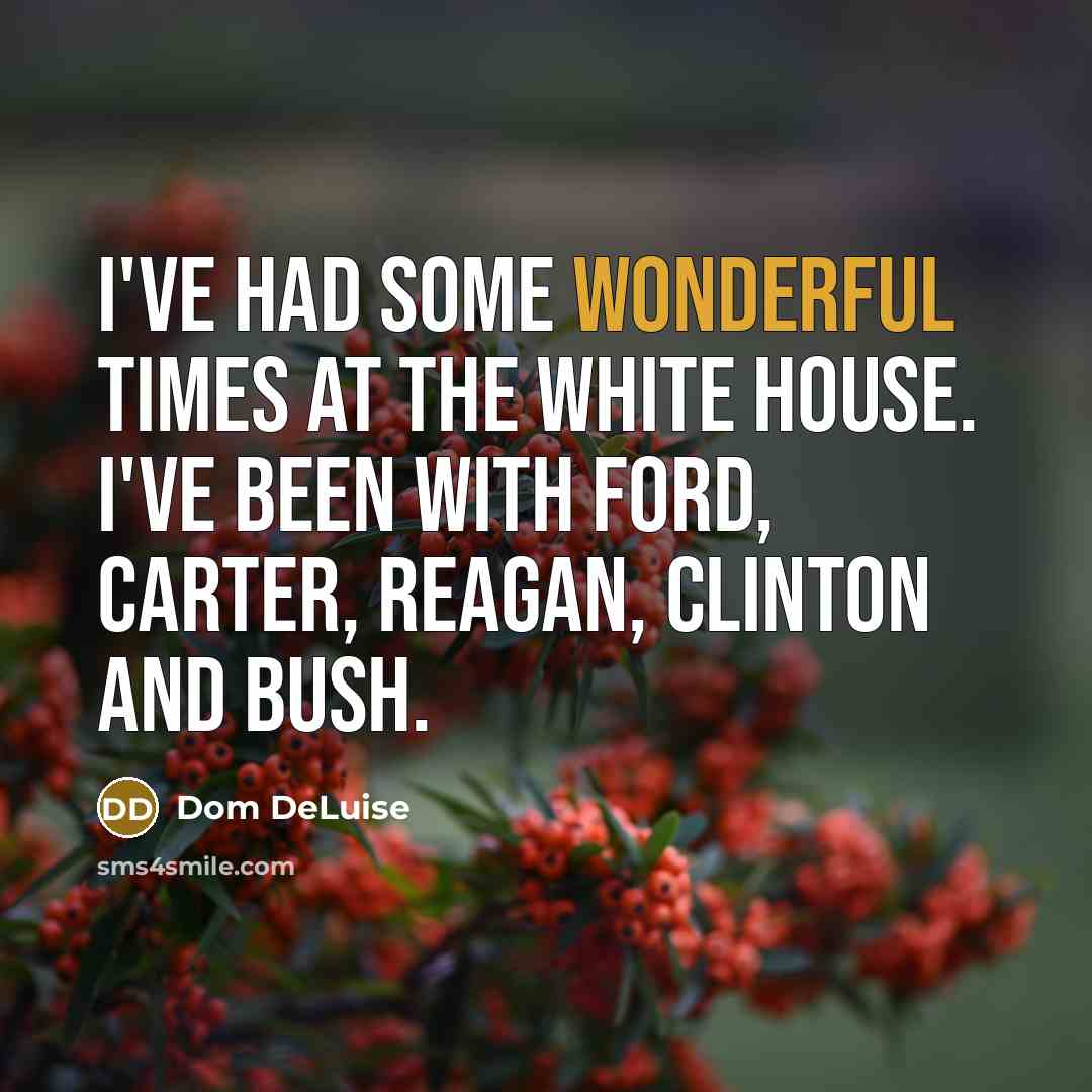 “I've had some wonderful times at the White House. I've been with Ford, Carter, Reagan, Clinton and Bush.” quote by Dom DeLuise
